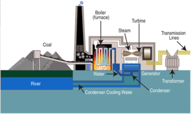Diagram shows a coal-fired power plant. A conveyor belt brings pulverized coal into the plant, where it is burned in a boiler, or furnace. Smoke escapes through a chimney. Water from a nearby river is piped into the boiler, which heats it into steam that turns a turbine. A generator attached to the turbine produces electricity, which is transmitted by power lines. A condenser cools the heated steam, which is returned to the river.